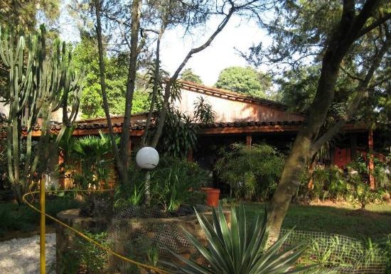 Nyungwe Forest National Park